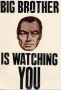 Big Brother monitored tweets, too (Donald Gilliand)
