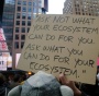 Occupy For Sharks And Oceans And All Those Who Defend Them | Mickey Z.