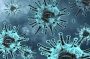 Pandemic slows across world | AFP