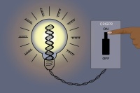 Reversible CRISPR Method Controls Gene Expression Leaving DNA Sequence Unchanged | Whitehead Institute for Biomedical Research