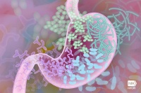Human gut bacteria have sex to share vitamin B12 | University of California - Riverside