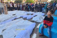 GAZA LIVE BLOG: Israeli Massacres Continue – DAY 31 | Palestine Chronicle