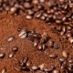 Coffee Grounds May Hold Key To Preventing Neurodegenerative Diseases -- University Of Texas At El Paso