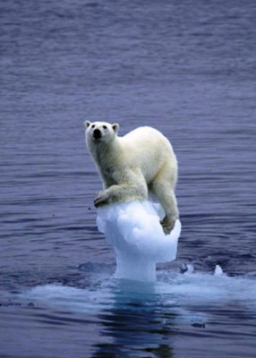 Global Warming My Arse. By therapysession. Flickr (CC BY 2.0)