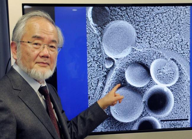 Yoshinori Ohsumi, a professor of Tokyo Institute of Technology is pictured in Tokyo, Japan, March 25, 2015 in this photo released by Kyodo. Mandatory credit Kyodo/via REUTERS