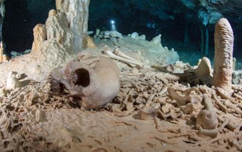 Prehistoric human skeleton in the Chan Hol Cave near Tulúm on the Yucatán peninsula prior to looting by unknown cave divers. Credit: Tom Poole, Liquid Junge Lab