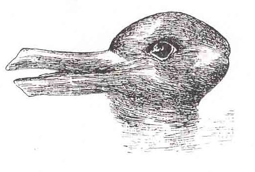 Thomas Kuhn used the duck-rabbit optical illusion, made famous by Wittgenstein, to demonstrate the way in which a paradigm shift could cause one to see the same information in an entirely different way.