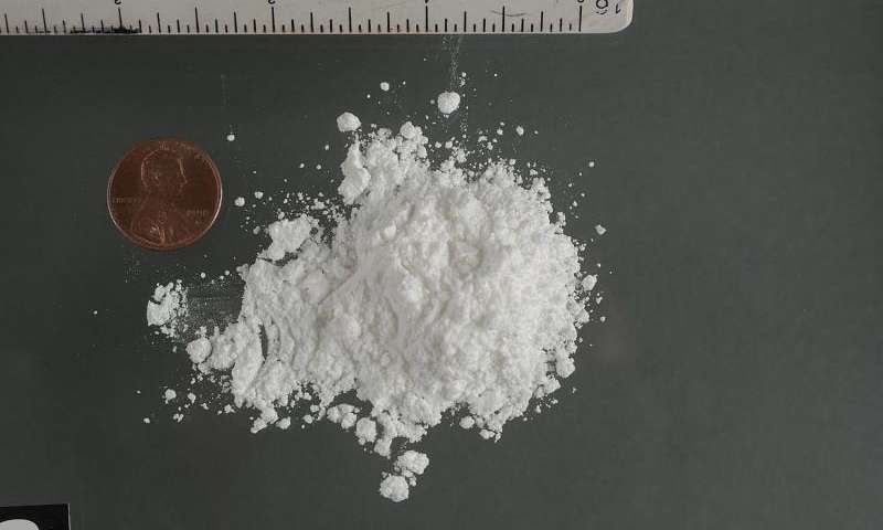 A pile of cocaine hydrochloride. Credit: DEA Drug Enforcement Agency, public domain