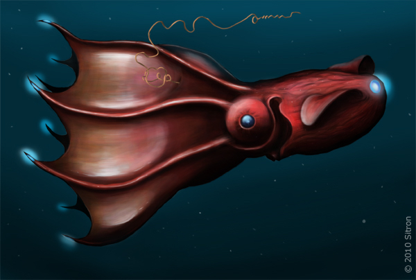 Adult vampire squid (Vampyroteuthis infernalis) © Citron CC BY-SA 3.0