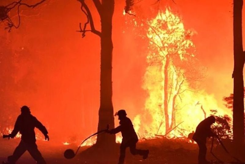 NSW Fire and Rescue officers fight a bushfire encroaching on properties in Australia in December 2019. (Photo: via AJE)