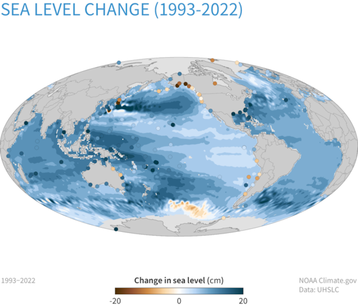 Between 1993 and 2022 mean sea level has risen across most of the world ocean (blue colors). In some ocean basins, sea level has risen 6-8 inches (15-20 centimeters). Rates of local sea level (dots) on the coast can be larger than the global average due to geological processes like ground settling or smaller than the global average due to processes like the centuries-long rebound of land masses from the loss of ice-age glaciers. Map by NOAA Climate.gov based on data provided by Philip Thompson, University of Hawaii.