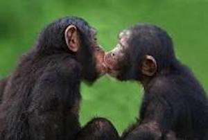 Did Humans And Neanderthals Get Off With Each Other?
