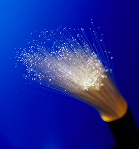 Fiber Optic Bundle