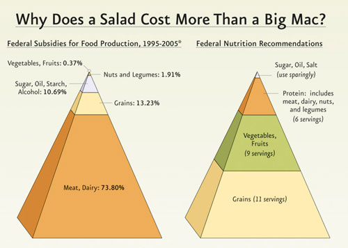 Food Pyramid v. Subsidies