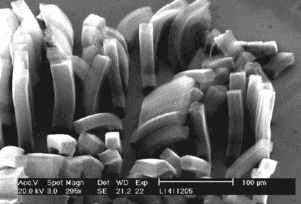 Carbon Nanotubes
